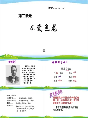 变色龙PPT课件4