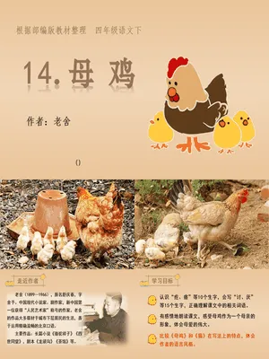 母鸡PPT课件5
