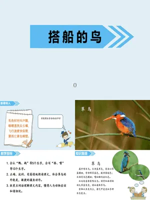 搭船的鸟PPT课件3