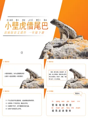 小壁虎借尾巴PPT课件2