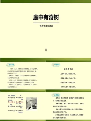 庭中有奇树PPT课件2