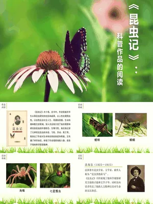 昆虫记PPT课件1