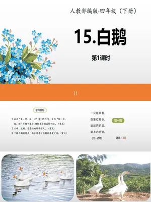 白鹅PPT课件4