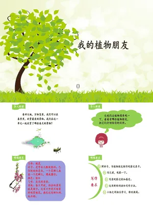 我的植物朋友PPT课件6