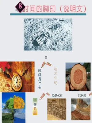 时间的脚印PPT课件4