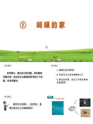 蝴蝶的家PPT课件8