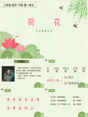 荷花PPT课件4