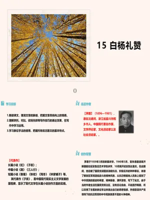 白杨礼赞PPT课件8