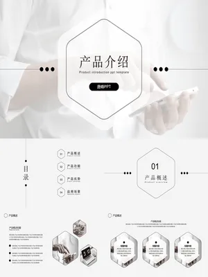 CP0006产品介绍PPT范例精选