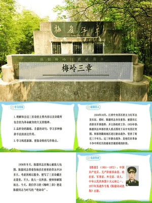 梅岭三章PPT课件3