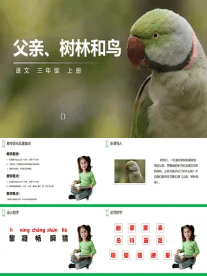 父亲树林和鸟PPT课件3