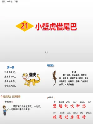 小壁虎借尾巴PPT课件8
