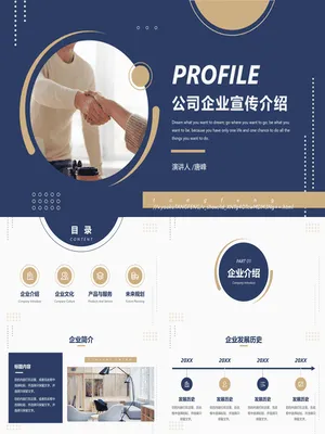 SW00050JS00012电商商业计划书