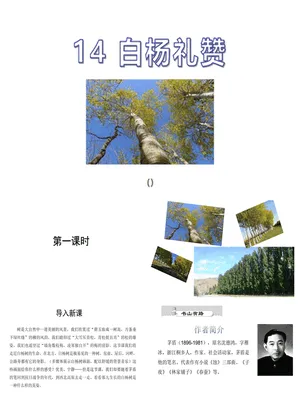 白杨礼赞PPT课件6