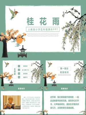 桂花雨PPT课件3