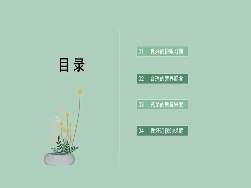 PPT内页预览