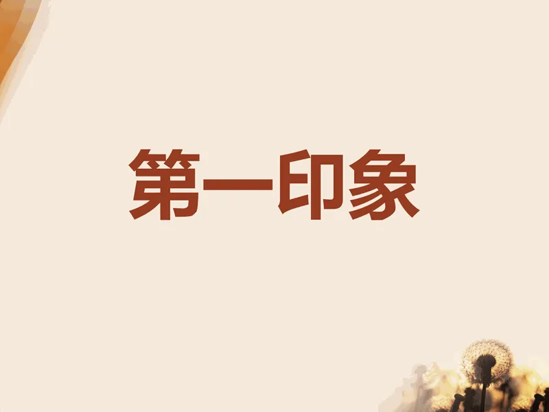 PPT内页预览