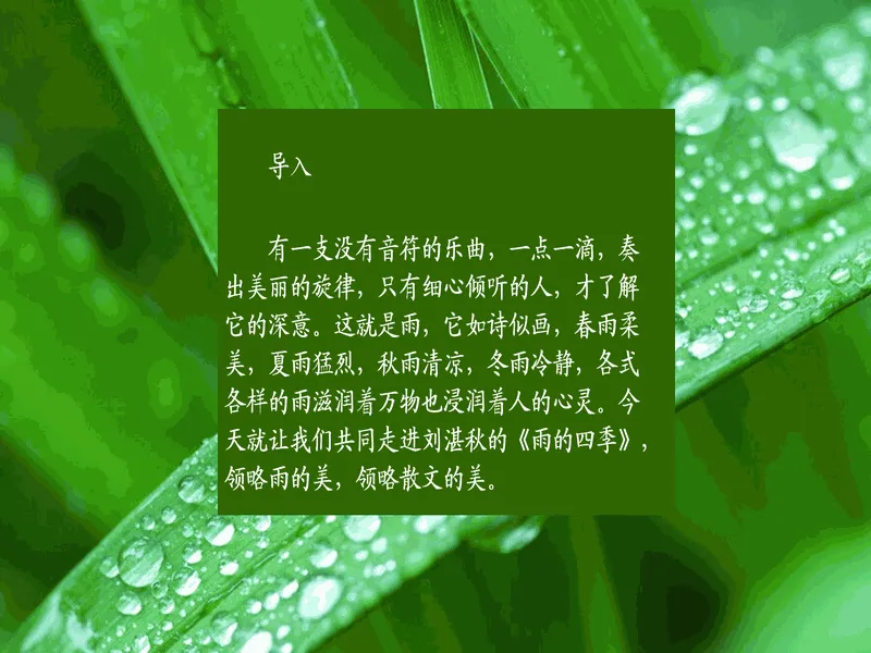 PPT内页预览