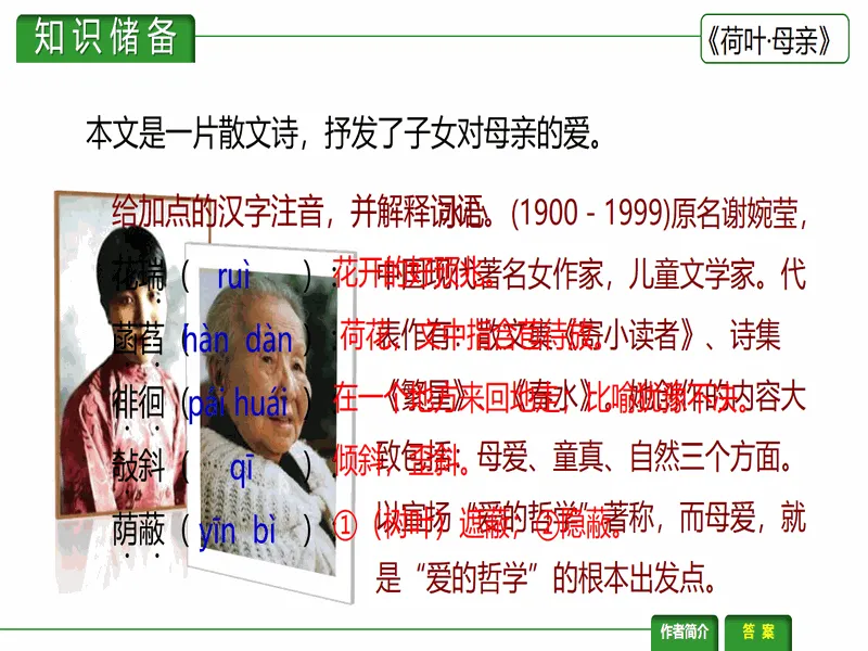 PPT内页预览