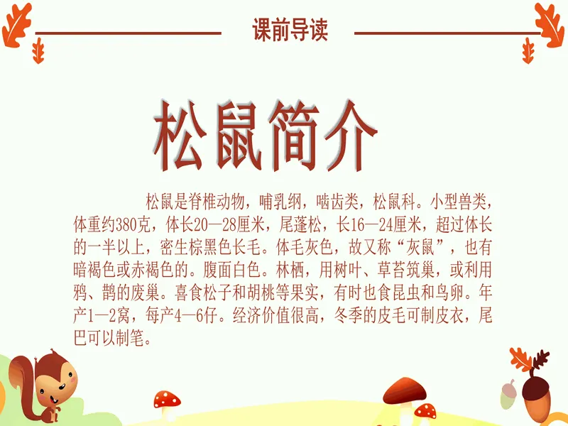 PPT内页预览