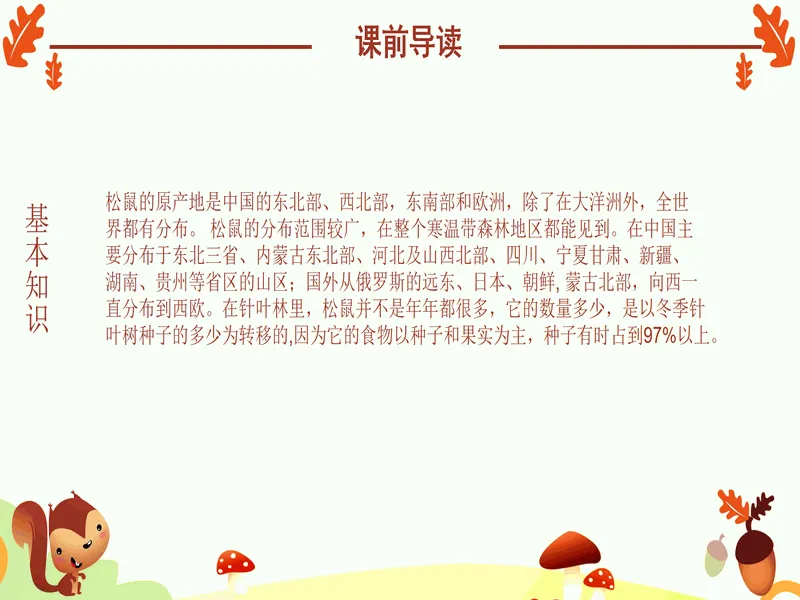 PPT内页预览