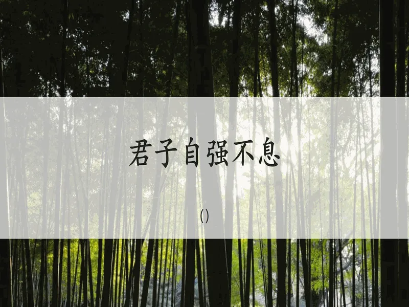 PPT内页预览