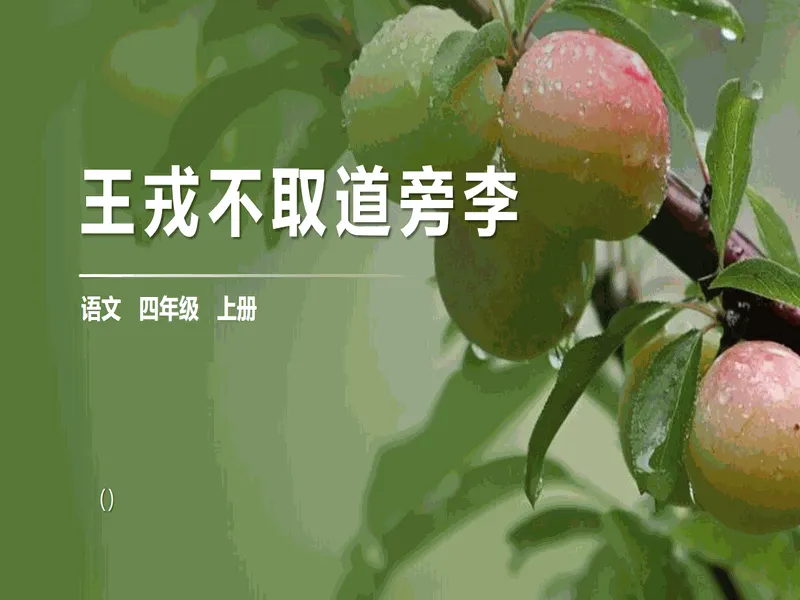 PPT内页预览