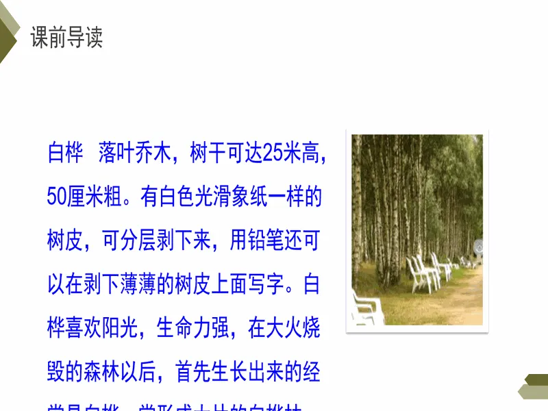 PPT内页预览
