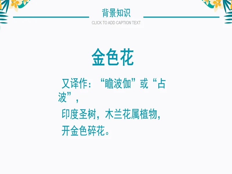 PPT内页预览