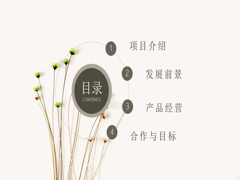 PPT内页预览