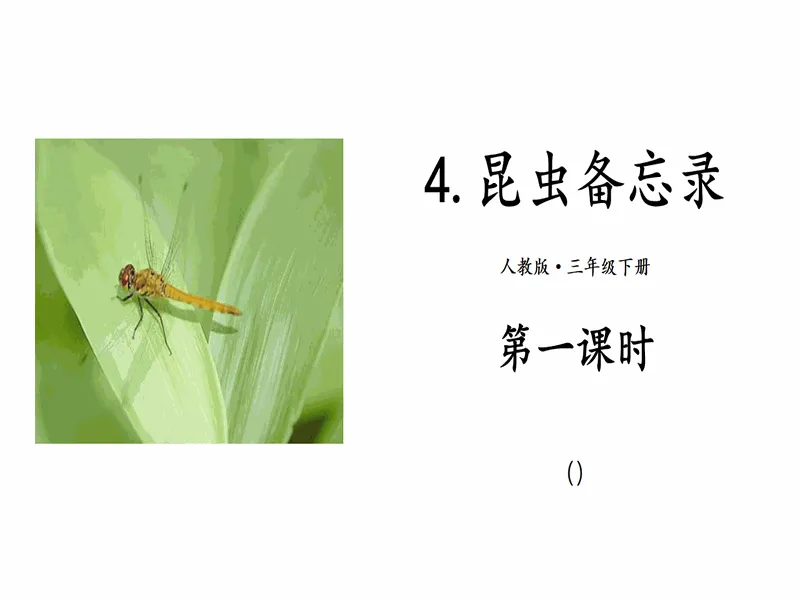 PPT内页预览