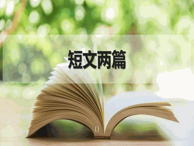 PPT内页预览