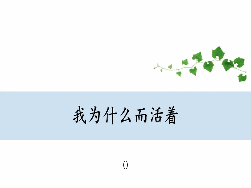 PPT内页预览