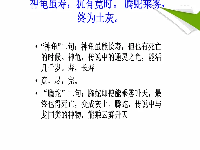 PPT内页预览