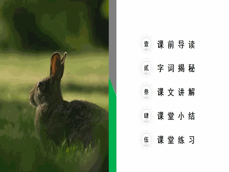 PPT内页预览
