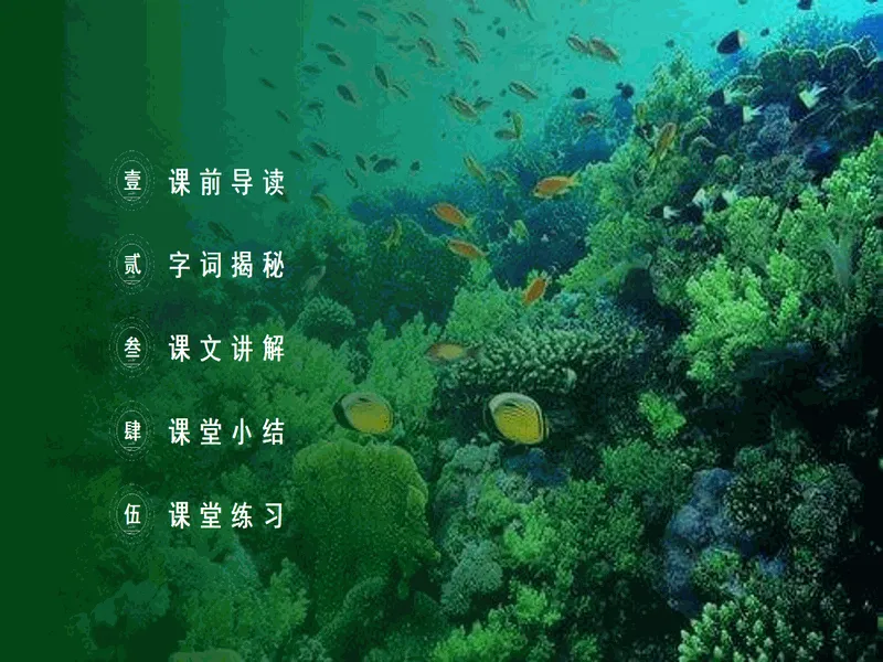PPT内页预览