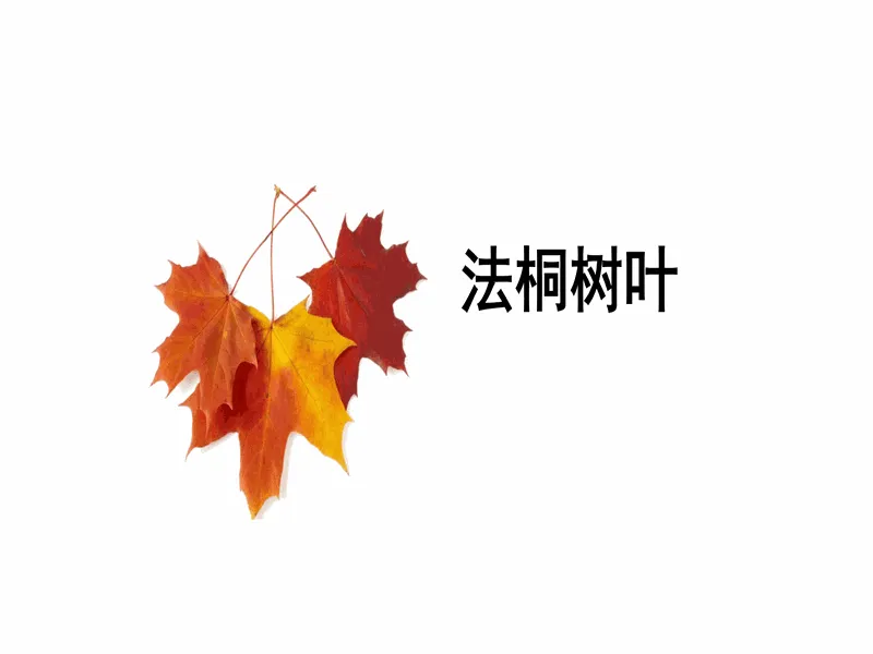 PPT内页预览