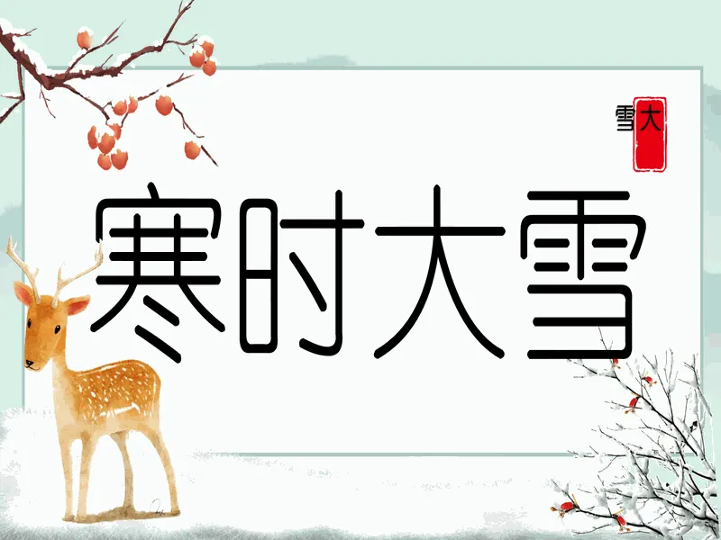 PPT内页预览