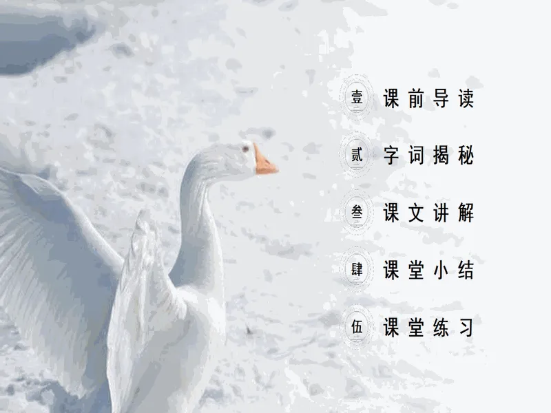 PPT内页预览