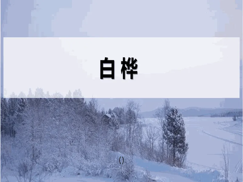 PPT内页预览