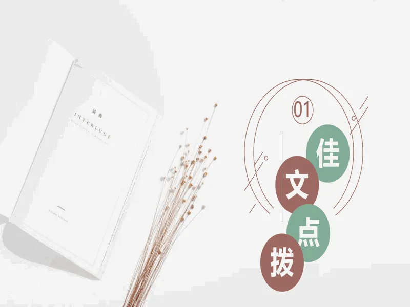 PPT内页预览