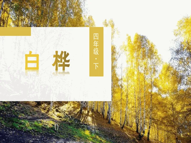 PPT内页预览