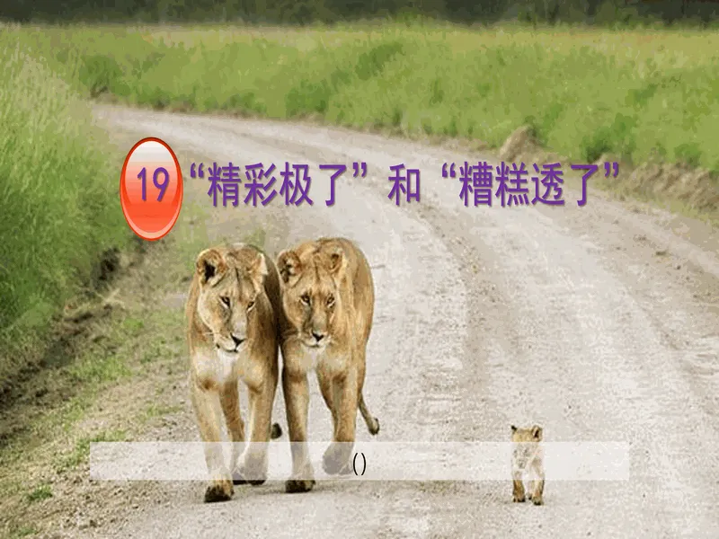 PPT内页预览