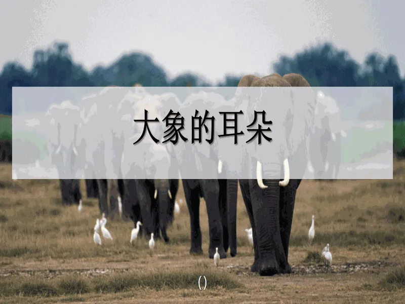 PPT内页预览