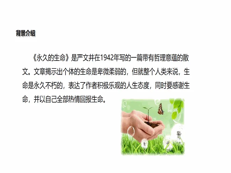 PPT内页预览