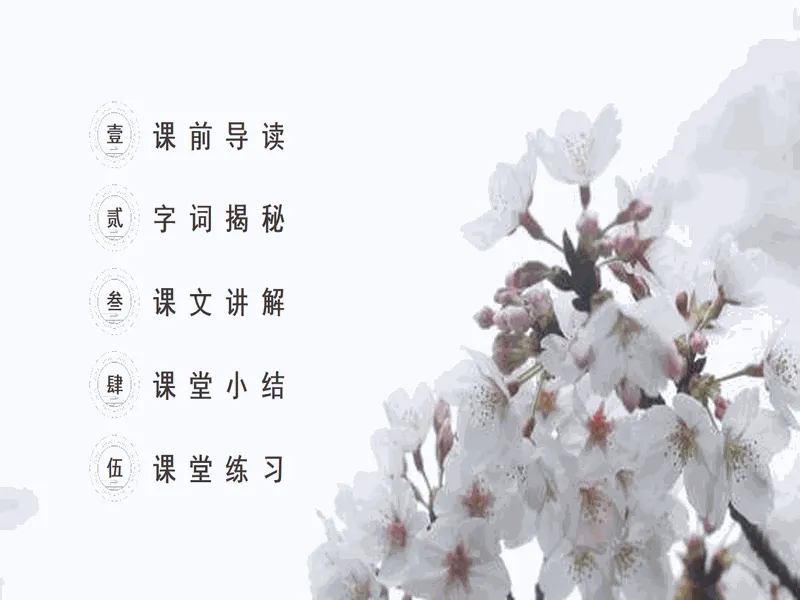 PPT内页预览