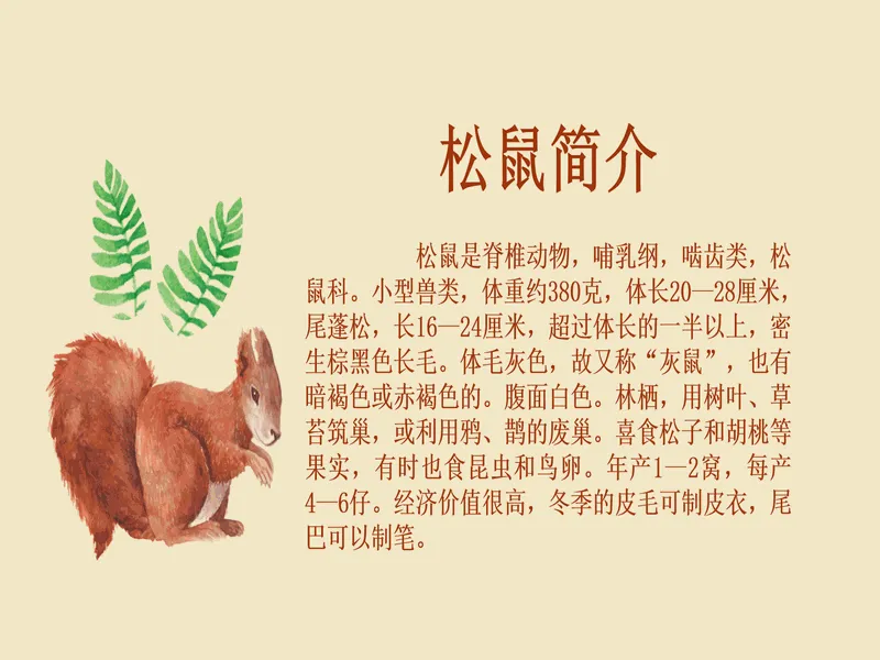 PPT内页预览