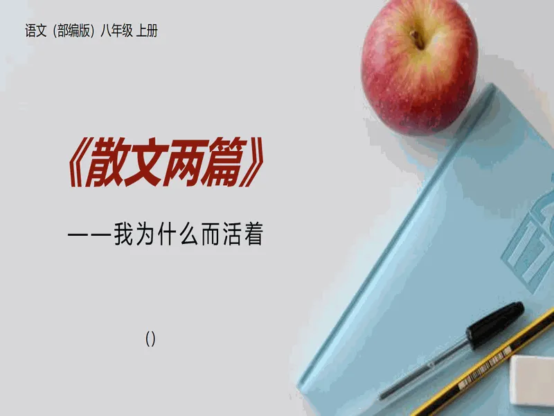 PPT内页预览