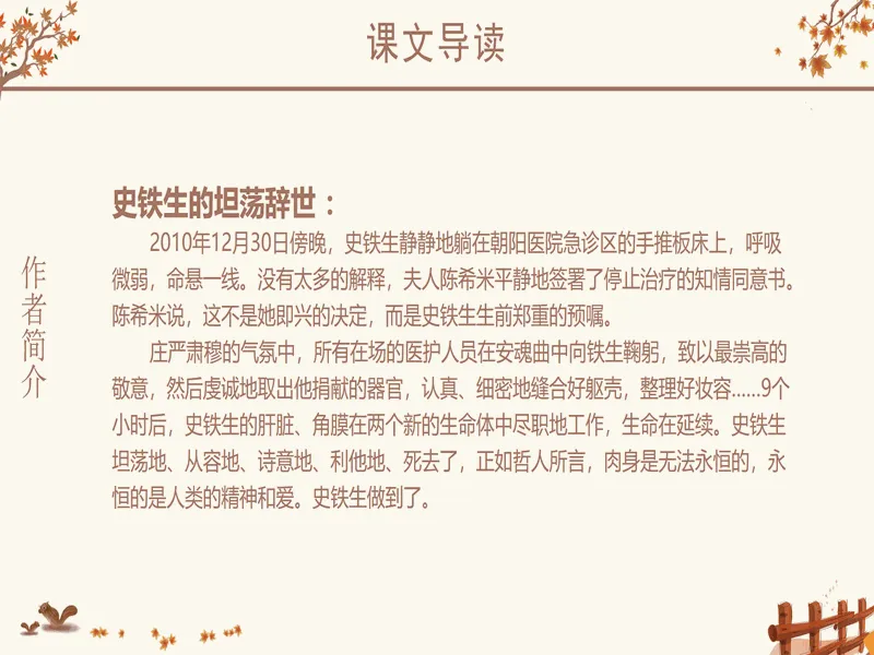 PPT内页预览