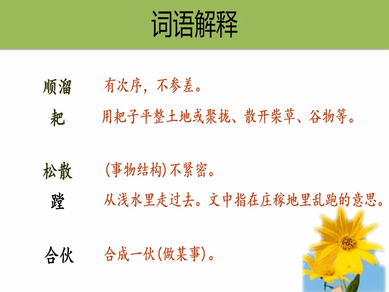 PPT内页预览